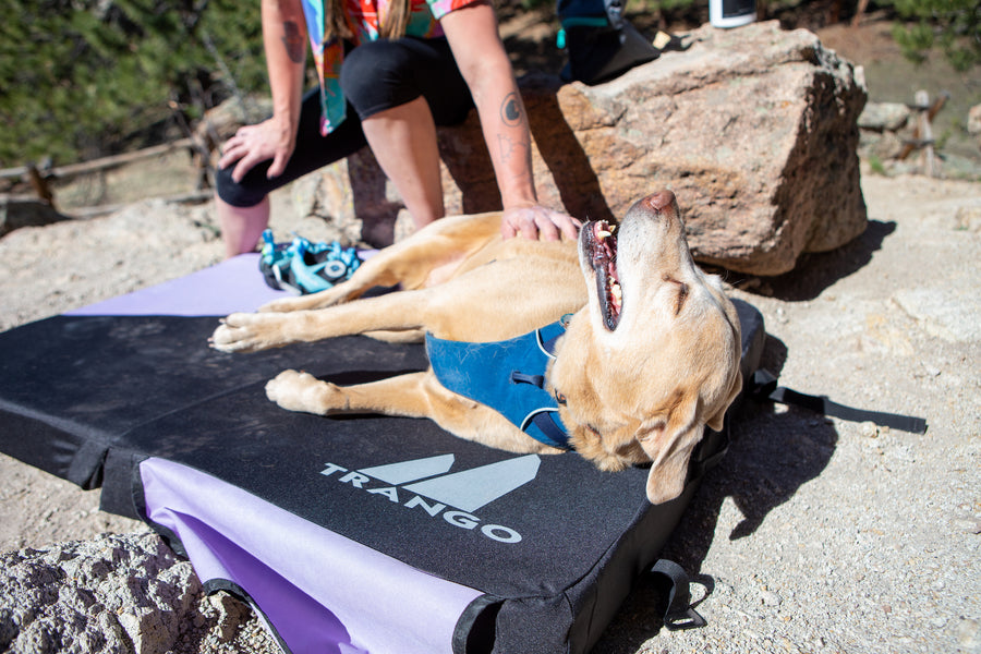 Whiskey Bike, Margarita Hydration, ‘Trail Magic’ Kit, and More Emerging Gear