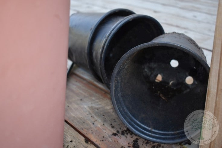 Here’s How to Clean Your Gardening Pots