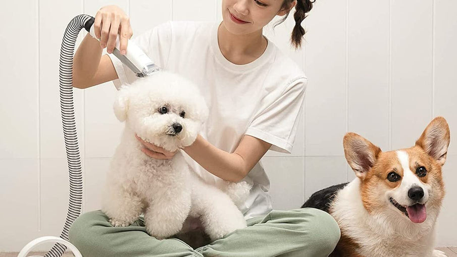 Save $20 on a handy grooming and vacuum kit, plus more pet deals this week