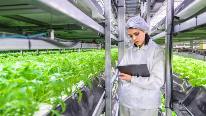 How AI and automation can shape the future of farms