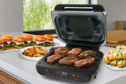 Cook perfect meat with this Ninja indoor grill with probe and save $80