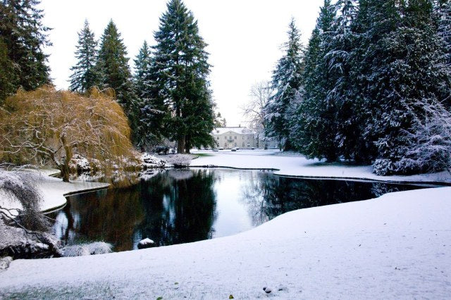 11 Wintry Destinations That Are Easy for Seattle Families