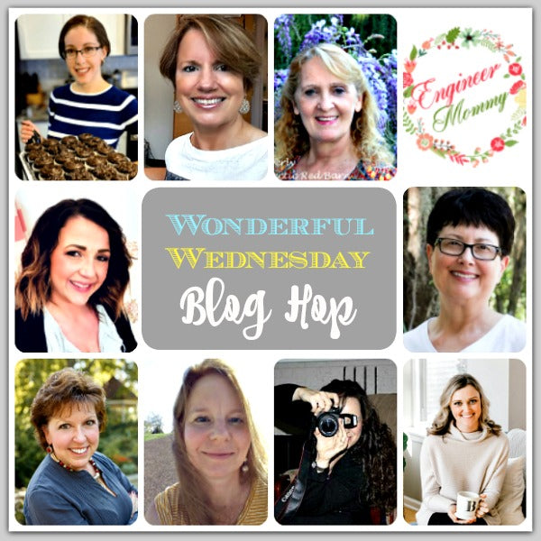 Welcome to Wonderful Wednesday Blog Hop! Welcome to our party!  Although our weather has been warm, we are having our share of rain