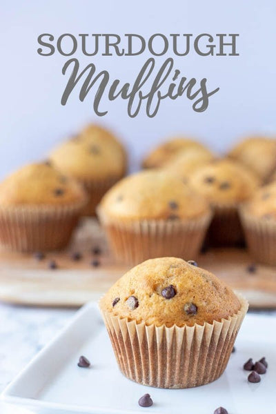 These delicious sourdough muffins are long fermented, perfectly sweetened, and they offer a pleasant, fluffy texture