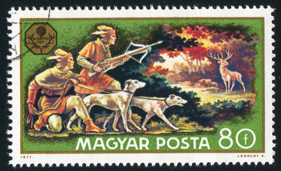 Hunting season safety practices aren’t all about guns and arrows