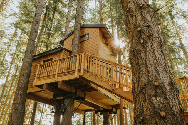 10 Enchanting Treehouses Families Can Rent in Washington