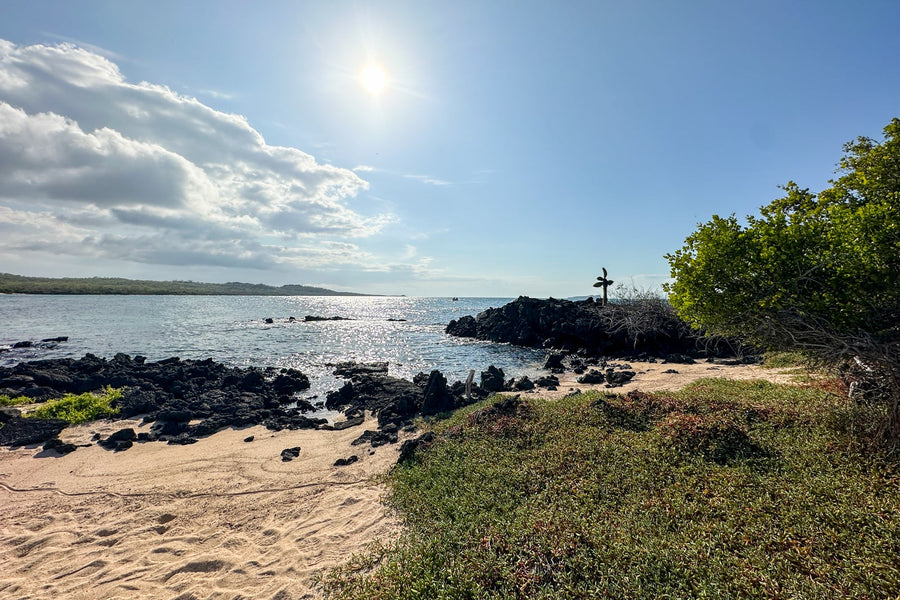 Galapagos cruise guide: Best itineraries, planning tips and things to do