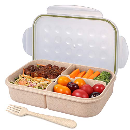 18 Best Compartment Food Containers