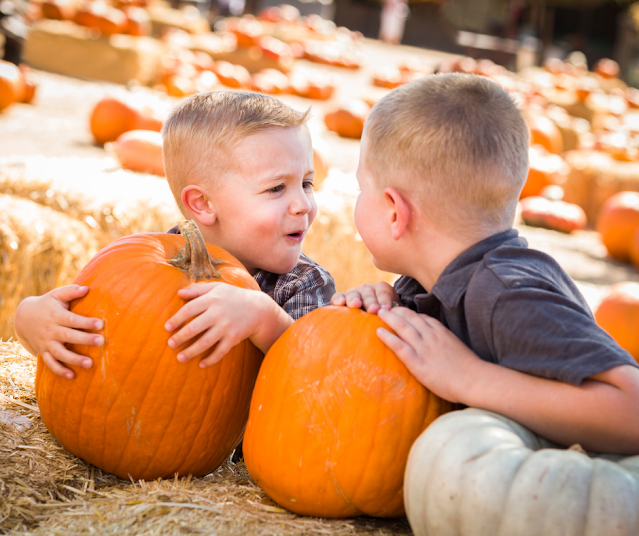 Fun Things To Do In Delaware County This Weekend For Families And Kids October 14th, 15th, & 16th