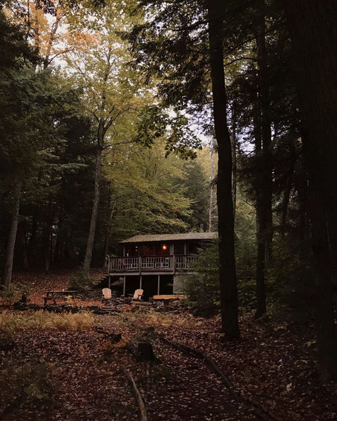 Unplugged: A Couple’s DIY, Totally Off-the-Grid Cabin in the New Hampshire Woods