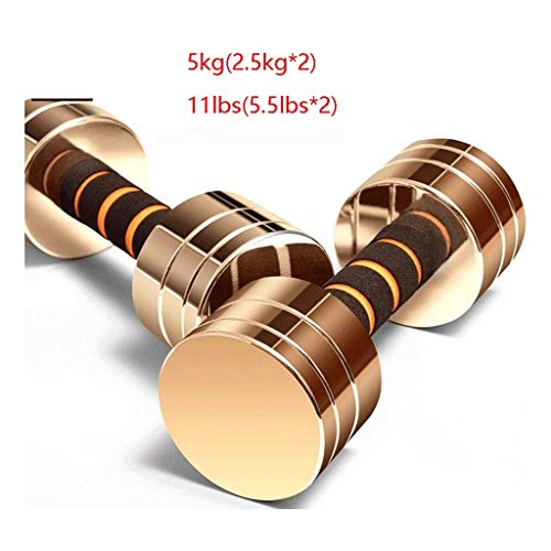 10 Best Adjustable Dumbbells | Definite Reviews