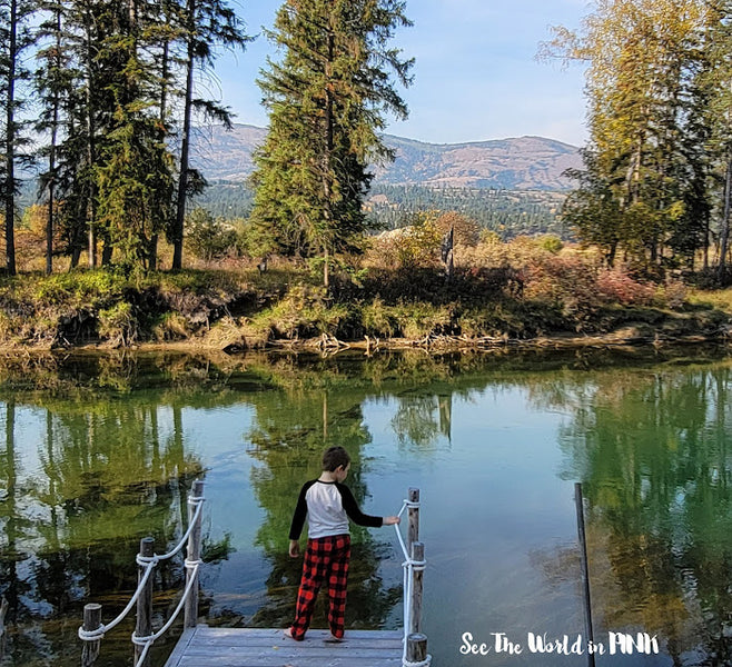 Five on Friday - October 14, 2022 ~ Thanksgiving Weekend at the Cabin, Salmon Spawning in the Columbia River, Time to Read My Favourite Book - The Night Circus, Herb Planter, and a Mini Shopping Haul