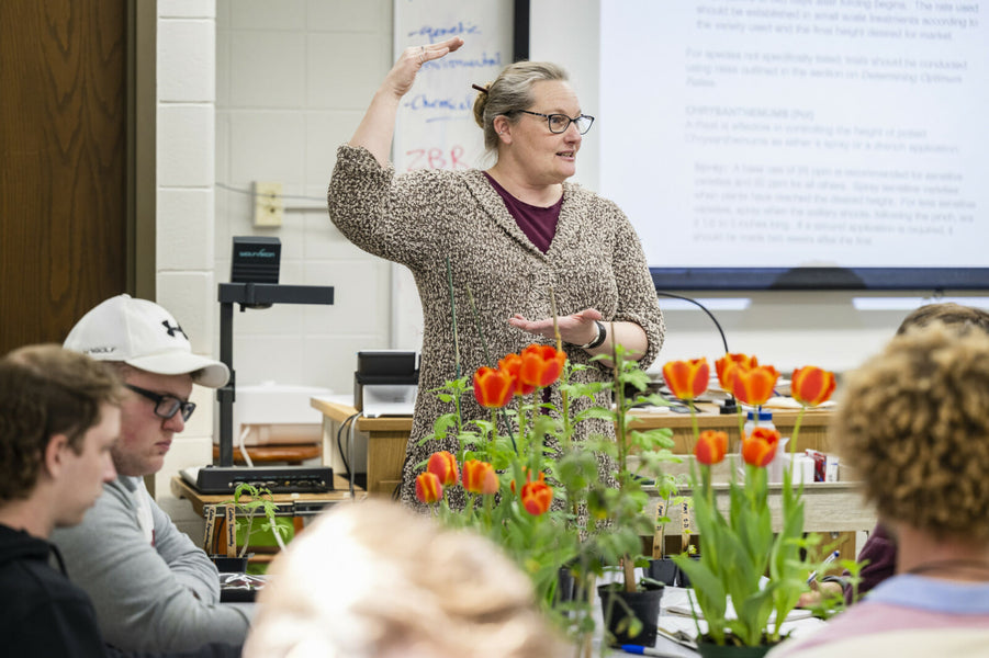 Meet the 2023 Academic Staff Excellence Award Winners