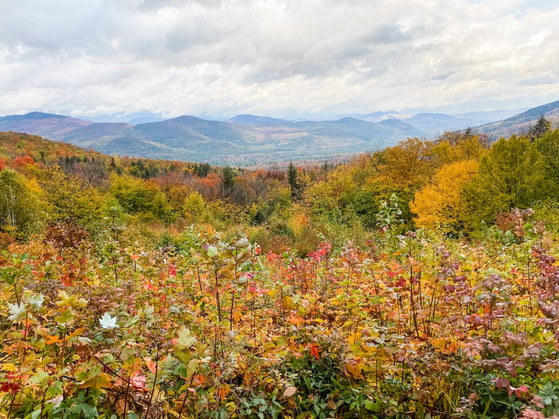 12 Best Fall Weekend Getaways in New England